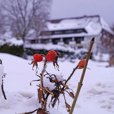 Kreuz Hoehengasthof