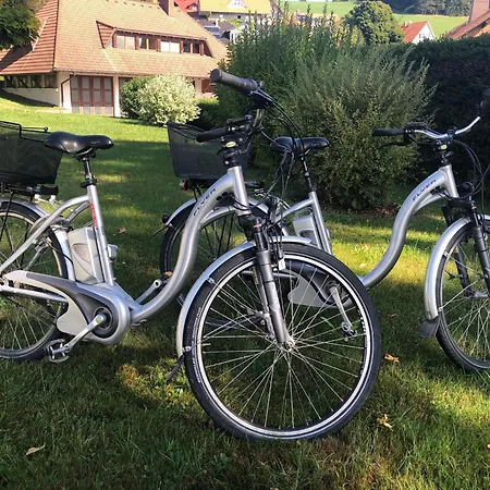 فندق Kreuz Hoehengasthof